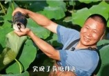 뽭̫棡ɫ+Ϻ