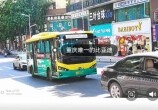 뽭ͷЩ㶼ʶ