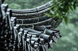 �뽭���˿쿴������13�죡2026��ƴ�ٹ�������