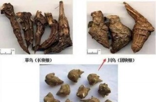 �����ǹ���Ⱦ����ŵ㣡��Щ������Ҫ��