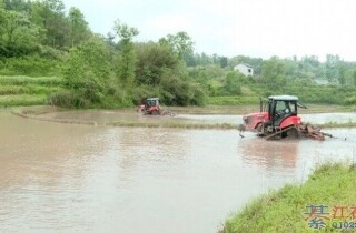 �뽭Ӧ������ƽ�������Լ�ɱ�����֮һ��