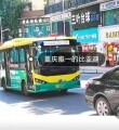 뽭ͷЩ㶼ʶ