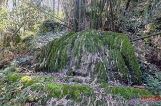 �뽭���ʯͷ̫���ˣ����ɽ����С��