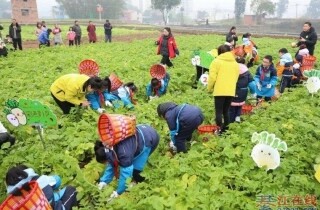 �뽭�ӿ�������¶ȡ���Ʒ�ʵ�����ǭ�������ߵأ�