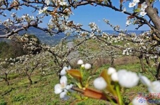 �뽭�����滨��������Լ��Ŷ��