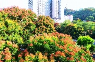 뽭ͨɽҰ~