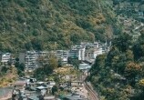 뽭䣡Ҳزʱ~