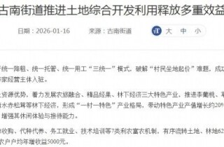 �뽭���Ͻֵ����У���ǧĶ�ĵػ���