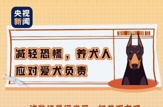 �뽭������ע�⣡��Щ��Ϊ��ǰ��Υ�棬��������Υ��