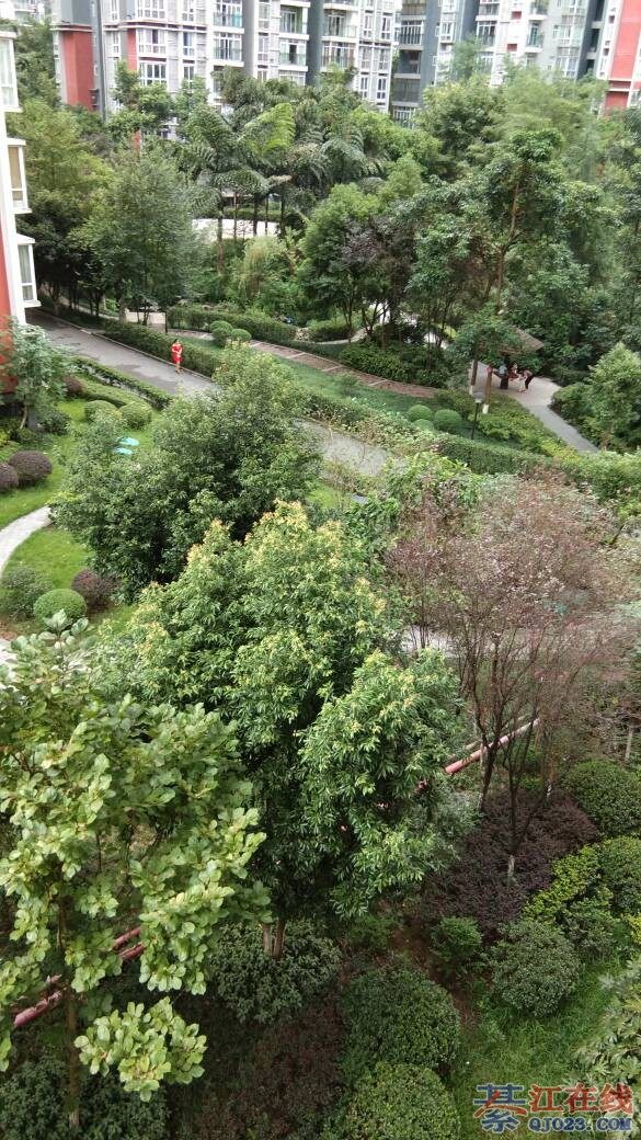 千山美林精装三室租1100元看房电话15223316791 - 綦江租房 - 綦江