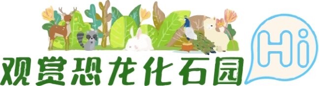 ͼƬ20.jpg