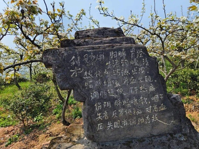 57.jpg