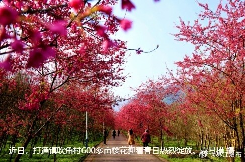 a2a3133aly1hz3sw4l95qj20dj08y76i.jpg