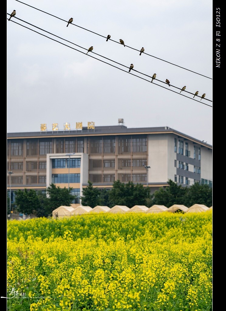 DSC_9986.jpg