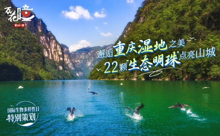 뽭ϰʪ֮ 22š̬顱ɽ