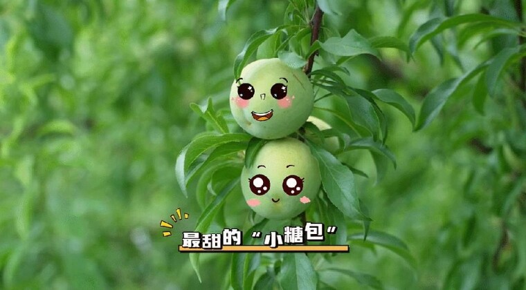 뽭Ŀף۱Ϯ