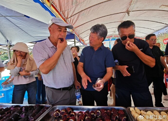 뽭ũסƷᡱ߳ѡƷ