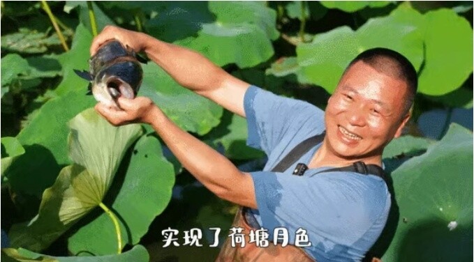 뽭̫棡ɫ+Ϻ