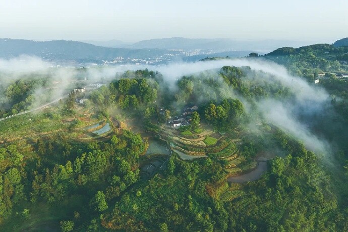 ͣ뽭ɽɽˮˮ