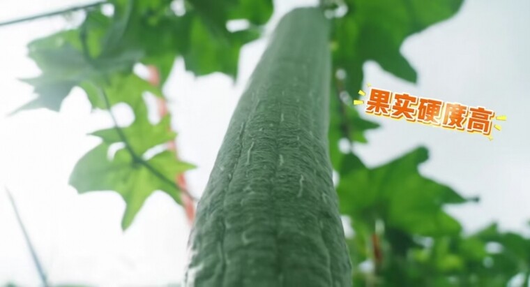 뽭˿ţŶ1׶࣡