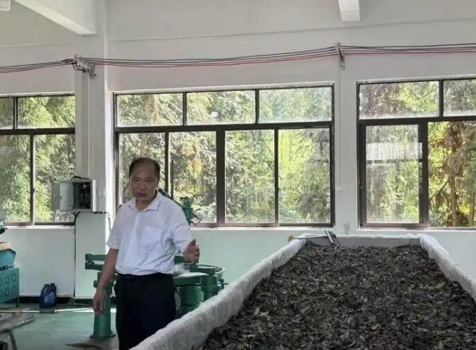 뽭¸·ֳͨҩĻط׷仧
