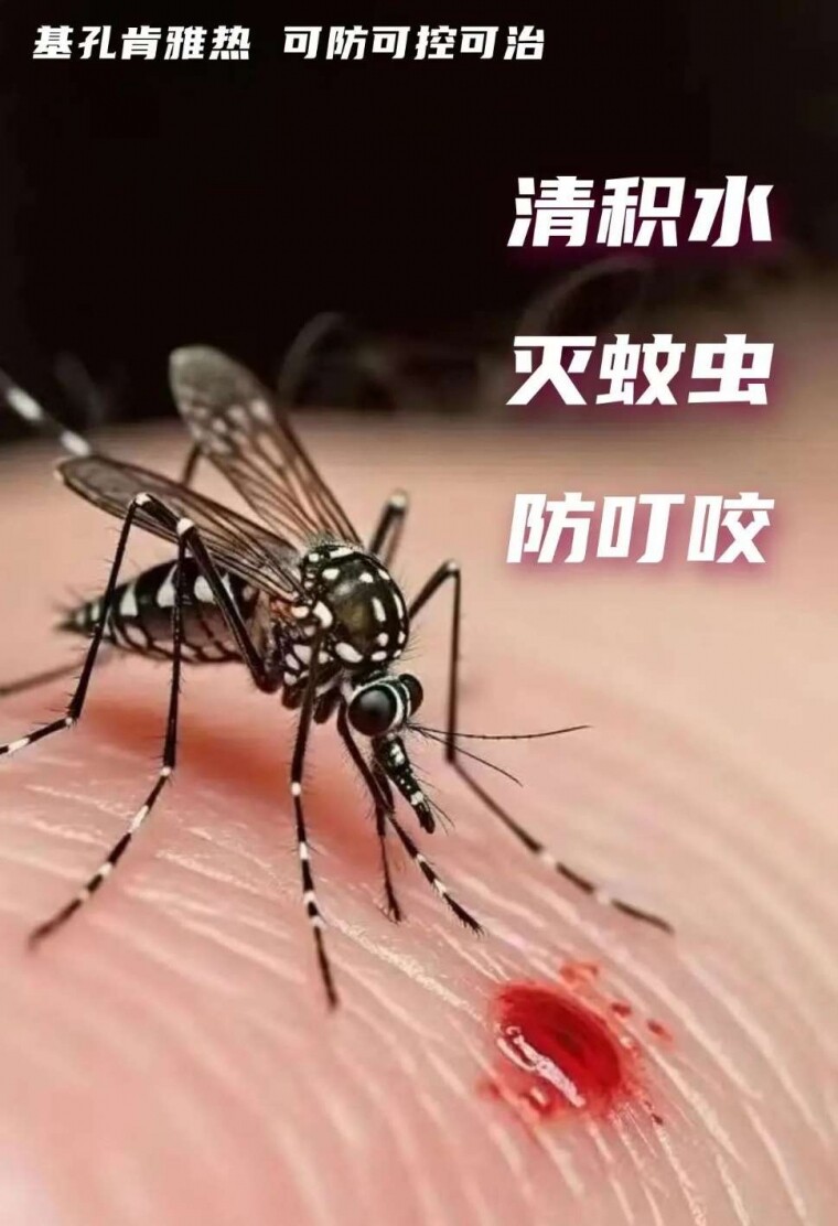 뽭ѣЩԱ뷵룬14ҽ