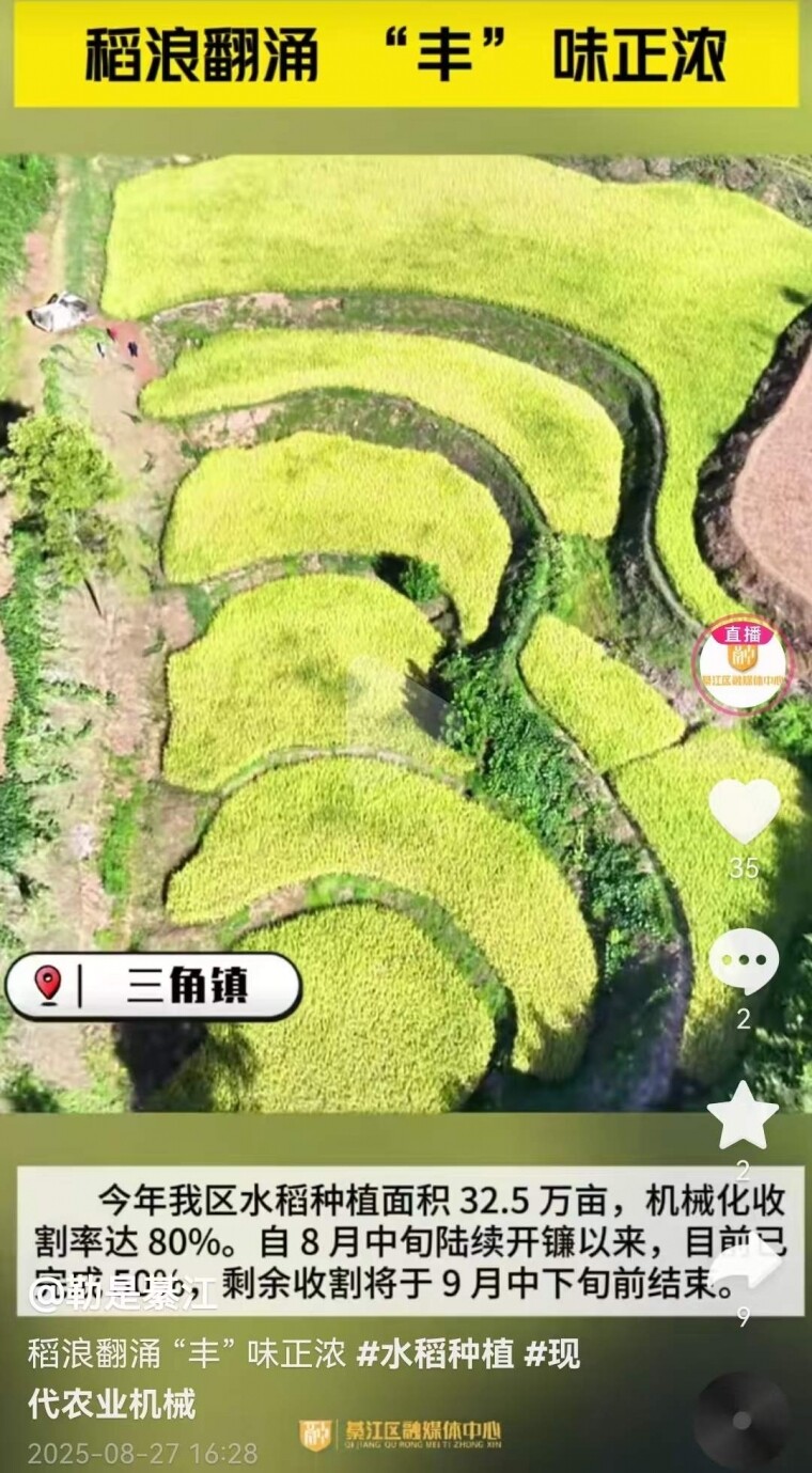 뽭˷ӿѮǰȫ꣬еոȣ