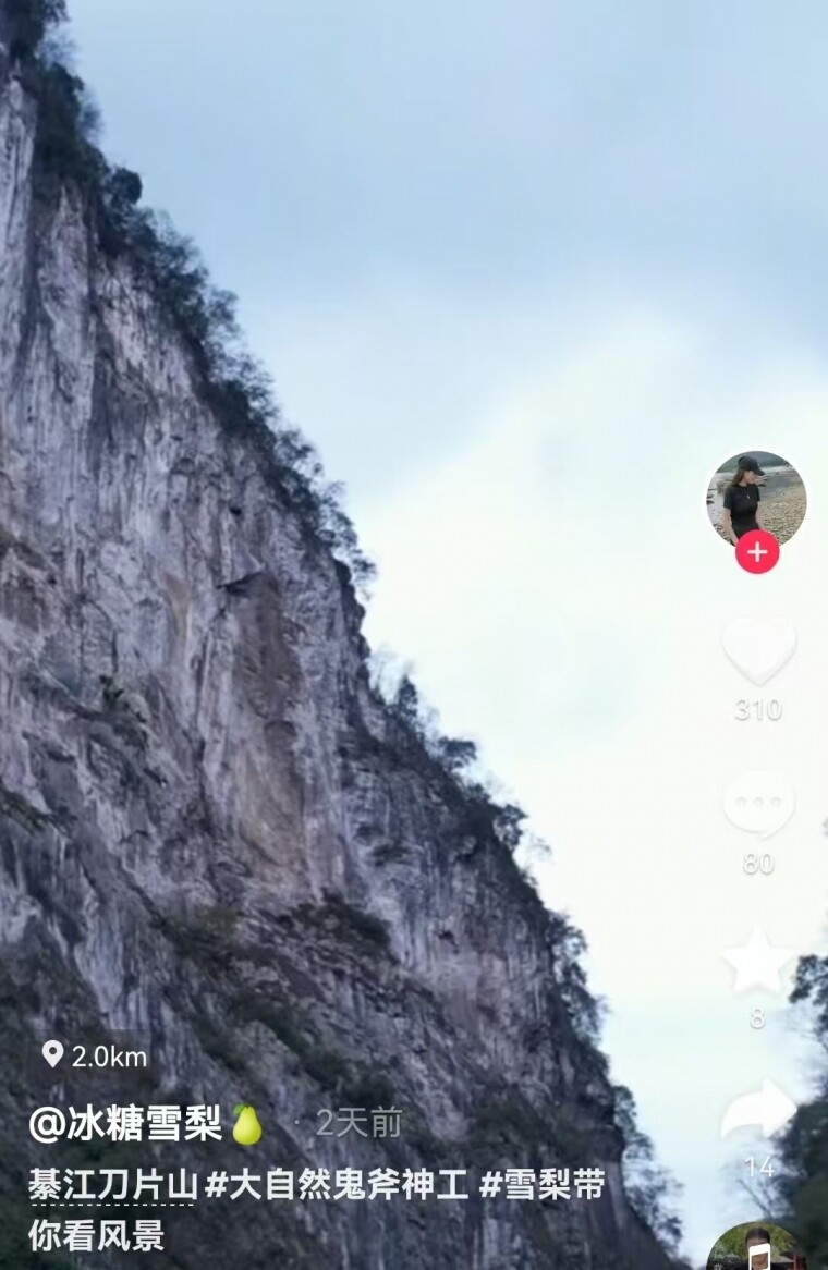 뽭ƬɽȻĹ񹤣