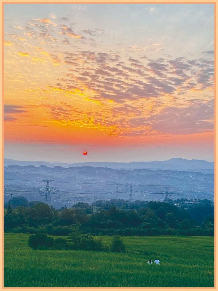 뽭⽥ŨЩʫɹֻ
