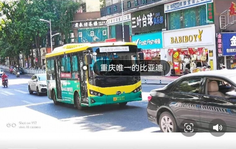 뽭ͷЩ㶼ʶ