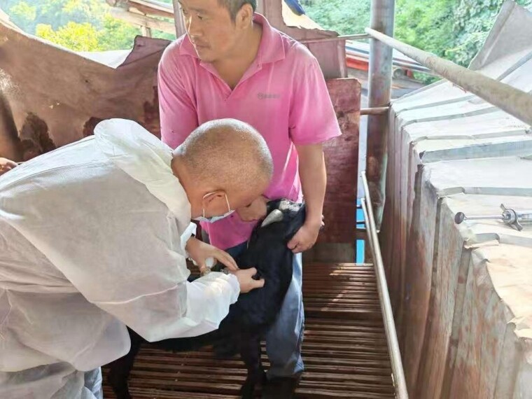 ȫ뽭Ա磬Сﵱ