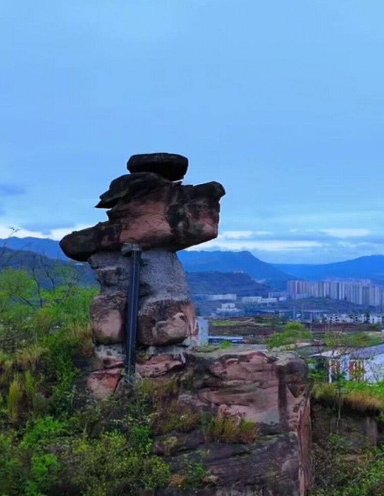 뽭ɶʯ֪