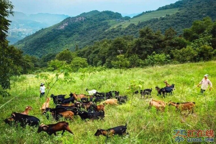 뽭İ򣬵ײŶٹºͺóԵ~