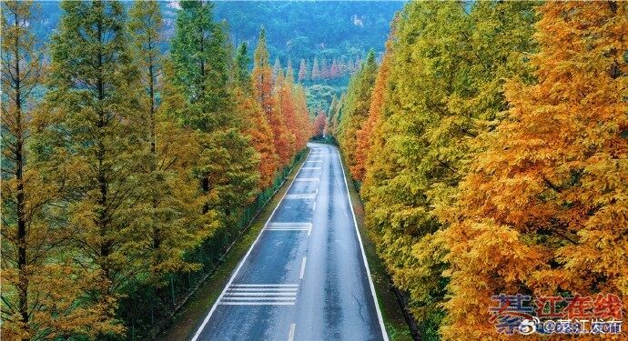 뽭ˮɼֺƽֵ֯ɽֵĻƽ𼾽