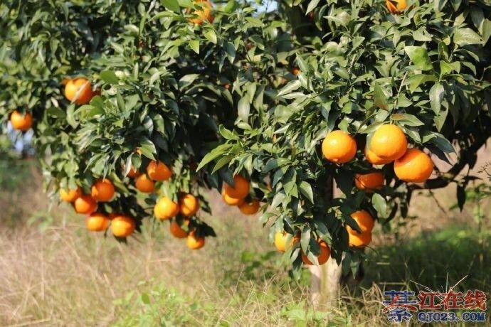 뽭ĹЩ쿩һؼҹ˾λû~