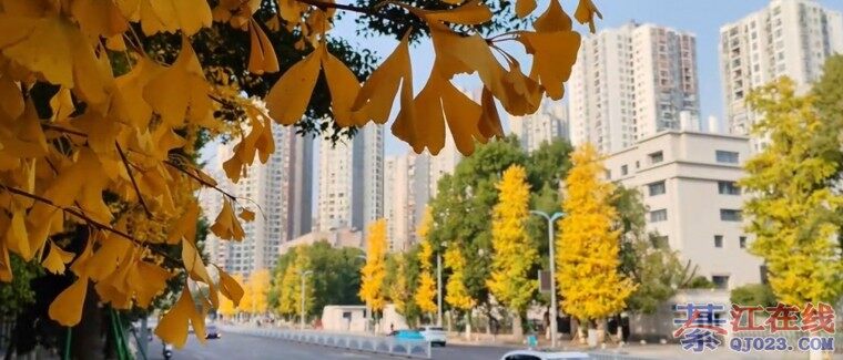 ΢��ͼƬ_20251219093920_425_3.jpg
