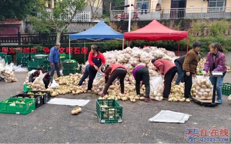 �뽭�ܲ����ˣ��ӵ���ֱ�ӳ�Ȧ~