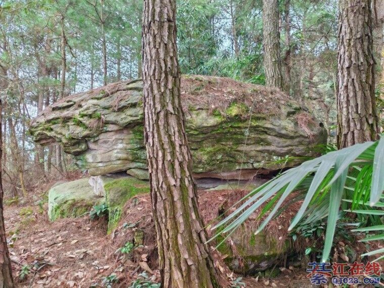 �뽭ʯ����ۣ�����и����ڹ꽫������