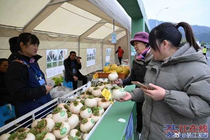 �뽭�����ܲ��ֻ��ˣ�����ͣ������������м�