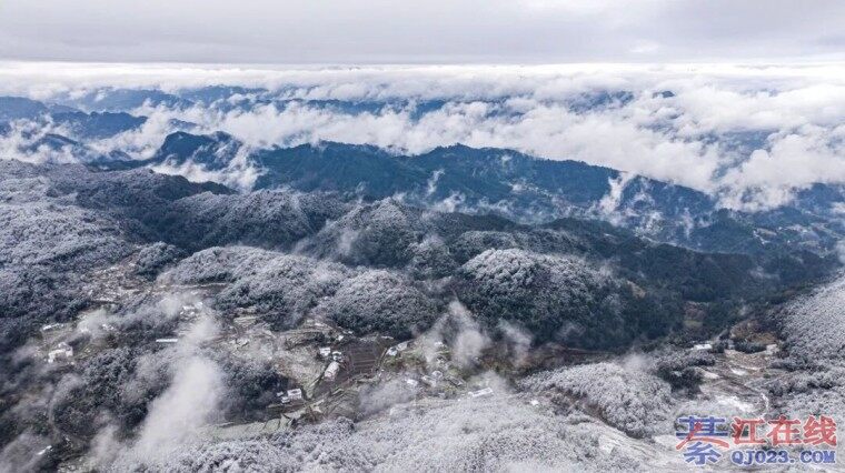 �뽭��ѩ����ʯ���򻨰����ӭ2026���ѩ��