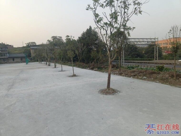 �뽭�����������ˣ���ȫ�к���ֵ˫˫������