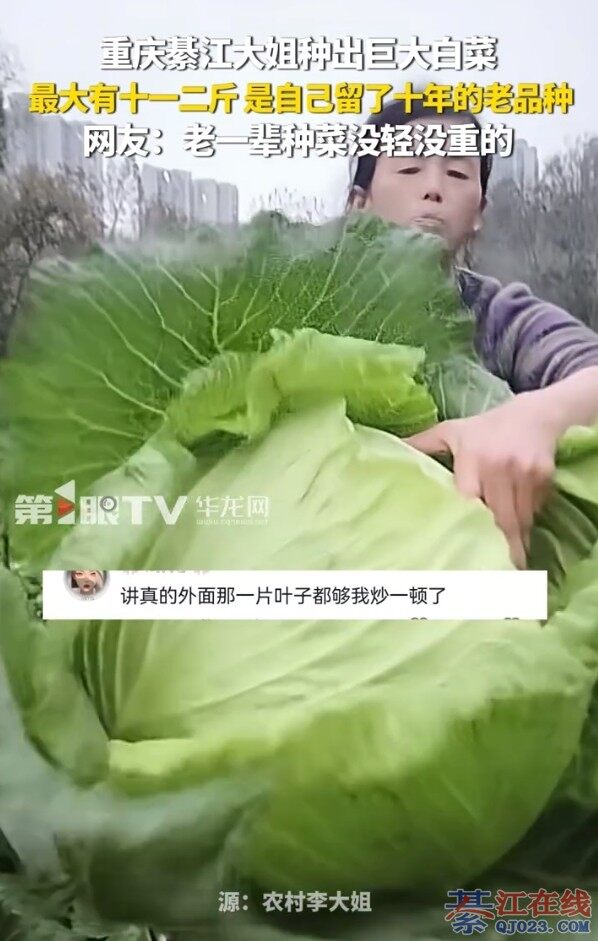 �뽭һ����ֳ��޴�ײˣ�