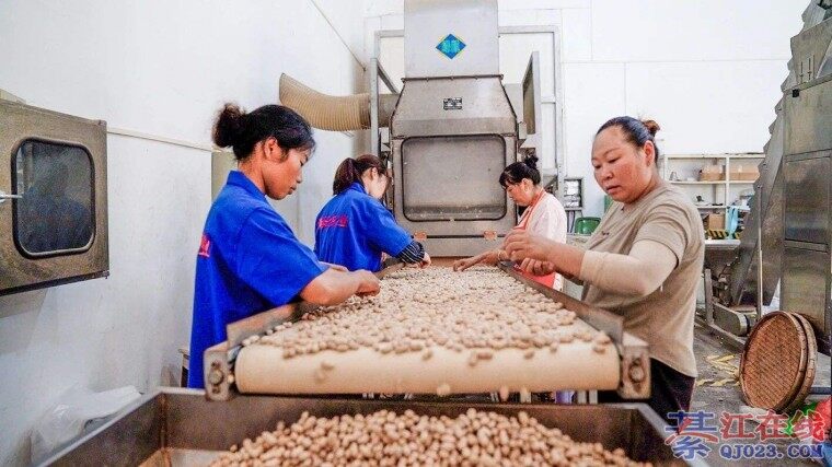 �뽭������Ӻã����ӻ��ˣ�