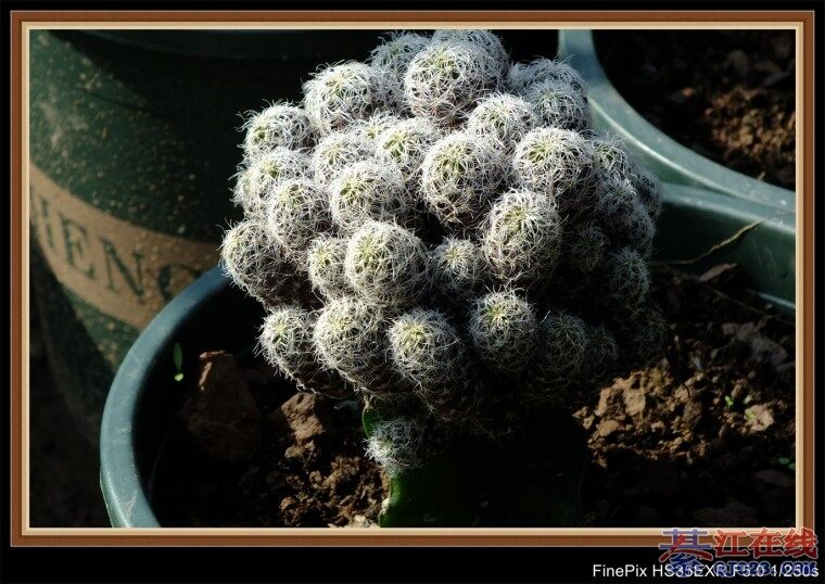 ���컪���������Ѽ��ġ��ز���������