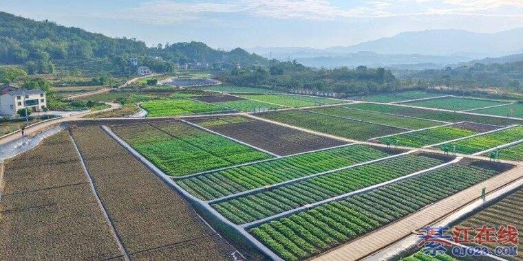 �뽭ͨ�ݽֵ������ռ����Ӫ����ͣ�������Σ�