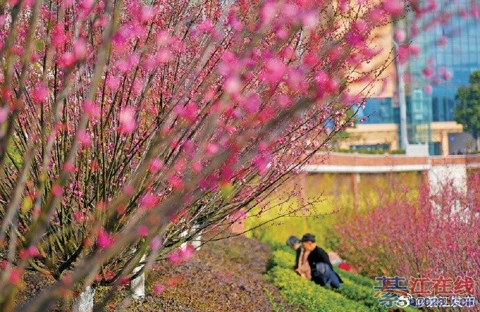 ���·����÷�����ţ����ͻ�����