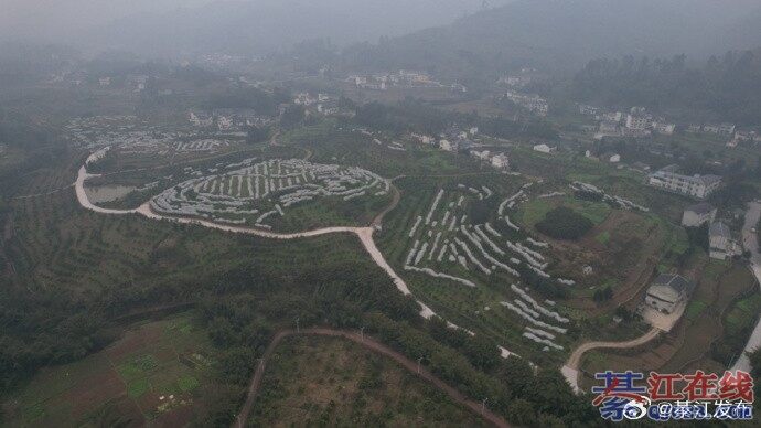 �뽭�������ɽ������ո�¹�·�����и�������