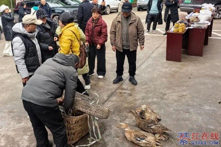 �뽭�����и����ش���Ȧ��������ר�����ϼ�