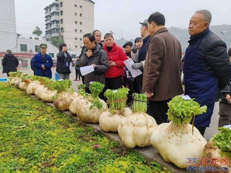 �뽭��ˮ�ܲ������������ˣ��ڴ�������ܲ���