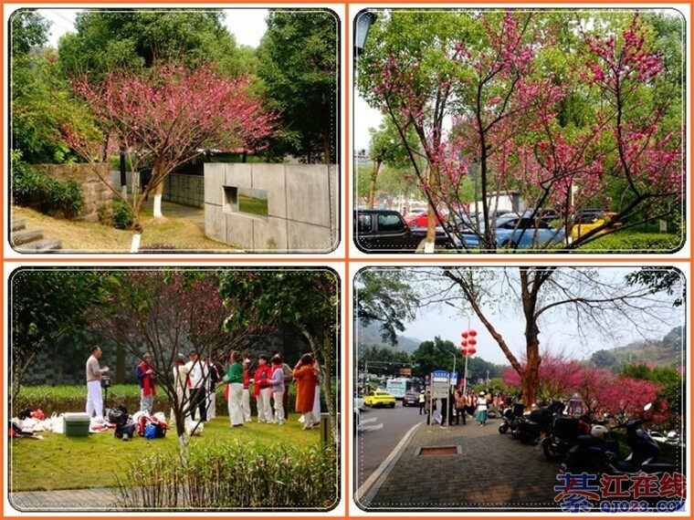 Ԫ��18���ڿ�����������Ⱥ��ת�ΰ׹��ݡ�÷�֡�����С��·�ķ�⡭��